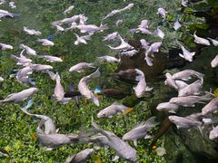 -常州海昌海洋探索馆