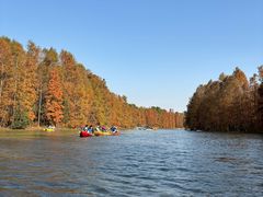 -上海海湾国家森林公园