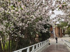 -大兴滨河森林公园