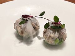 -觀芷隐轩