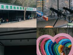 -龙湾潭国家森林公园