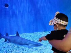 -华夏文旅海洋公园