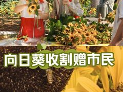-仙岳公园