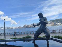 -星光大道