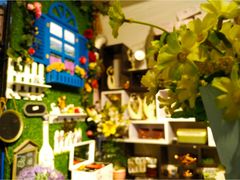 -桂林市花鸟市场