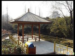 -紫竹院公园冰场