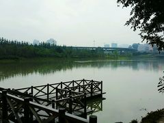 -琴亭湖公园