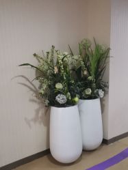 -安徽合肥韩美整形外科医院