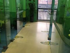 -小问号·科学启蒙·逻辑思维·阅读素养·口才演讲(杨浦合生汇中心)