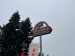 -自贡恐龙博物馆