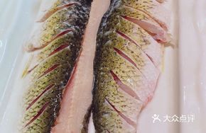Ecological Cold-water Grass Carp