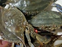 android_upload_pic-鼎香缘海鲜自助火锅烤肉(锦辉购物广场店)