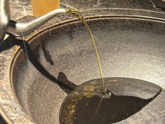 -大鱼山房鱼头火锅(老字号品质店)