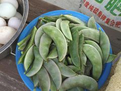 -锦江中华村农家乐饭庄
