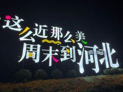 -0317火锅鸡·清真(正达店)