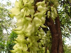 门面-广州珠江公园