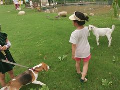 -前小桔亲子创意农场·草莓采摘·露营烧烤