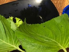 -大派屋(桂林路店)