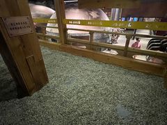 -济州岛汤泉(广宜店)