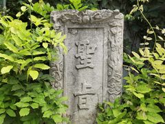 -徐州龟山景区
