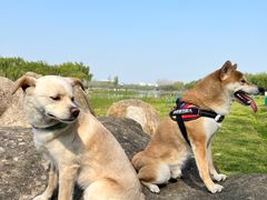 -滨湖塘西河公园