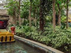 -南宫五洲植物乐园