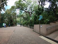 -九龙公园