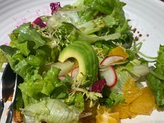 -真地道京味府·鲜橙烤鸭·北京菜(朝外大街东大桥店)