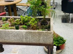 -大象造型