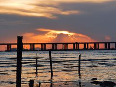 -宝安西湾红树林湿地公园