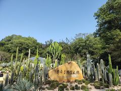 -深圳仙湖植物园