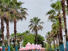 -金沙湖公园