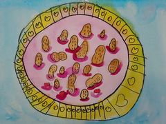 -艾瑞克儿童艺术创想(海马公园店)