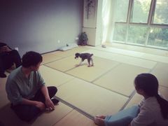 -仰生如卉推拿养生馆(酒仙桥店)