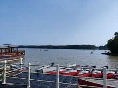 -上海海湾国家森林公园