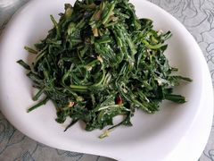 凉拌苦苦菜-老毛手抓(长城路店)