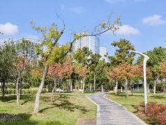 -天鹅湖体育公园