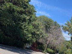 -燕塞湖鸟语林景区