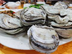 生蚝-蚝专家(北滘店)