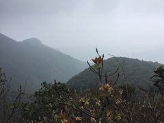 -鸡枕山