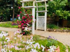 -云峰山自然风景区