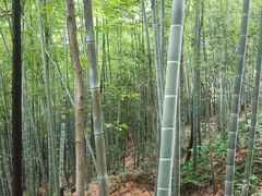 -石燕湖生态旅游景区