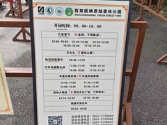 -西双版纳原始森林公园
