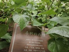 -苏州丝绸博物馆