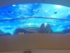 -浦乐汇·汤泉水世界