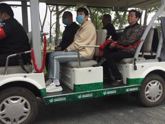 -白鹭湾湿地公园