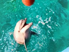 -苏州海洋馆