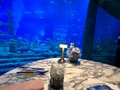 -亚特兰蒂斯•OSSIANO奥西亚诺海底餐厅