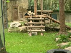 -上海野生动物园