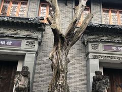 -龙潭水乡